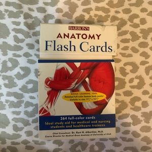 Anatomy flash cards